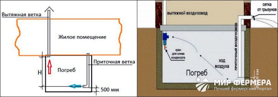 Связанная студентка в подвале