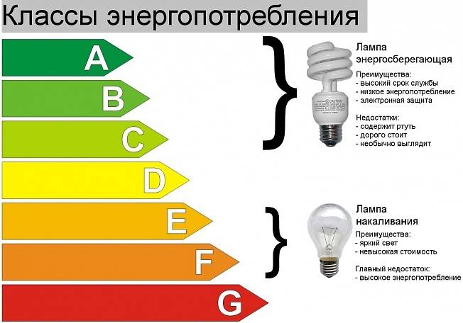 Какая лампочка лучше: светодиодная или энергосберегающая