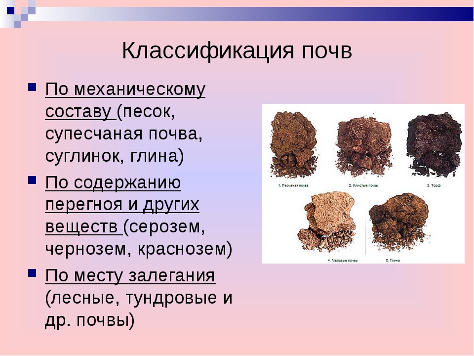 1 классификация почв. Классификация почв. Структура почвы. Классификация типов почв. Структура почвы виды.