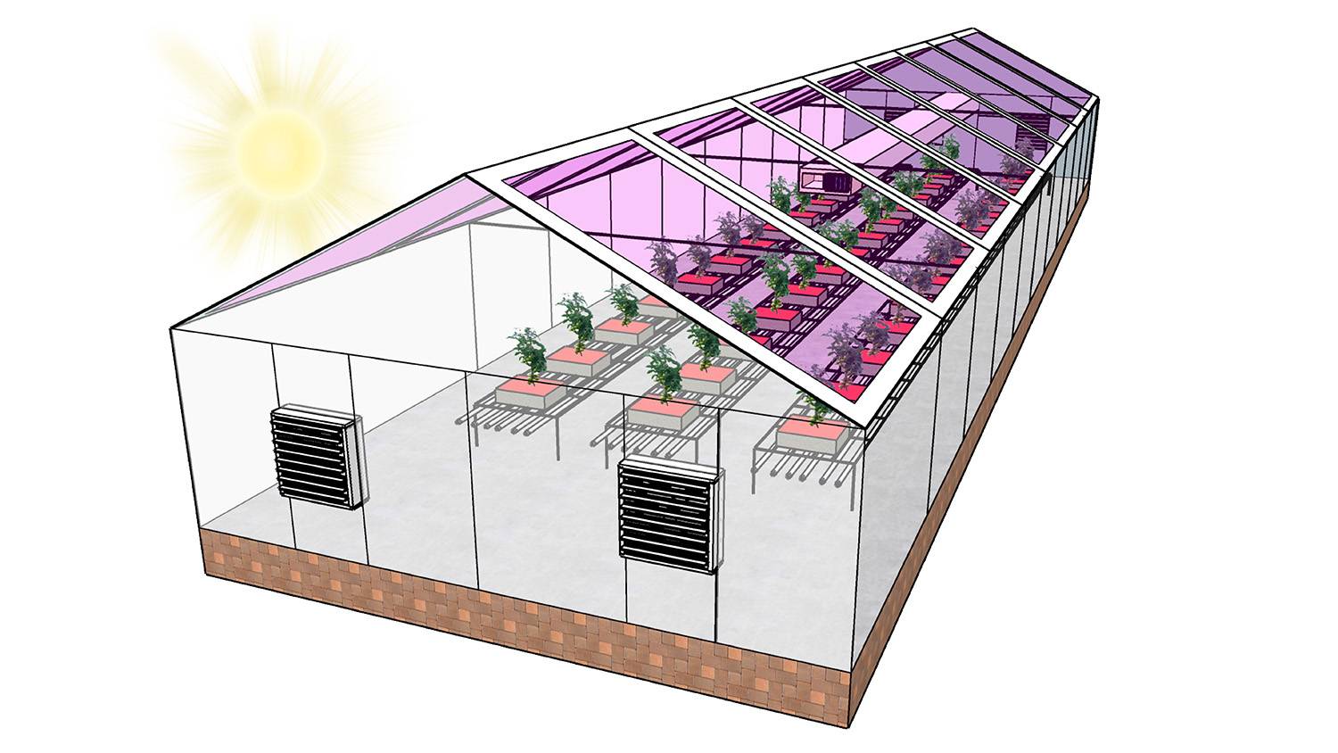 Умная теплица Greenhouse