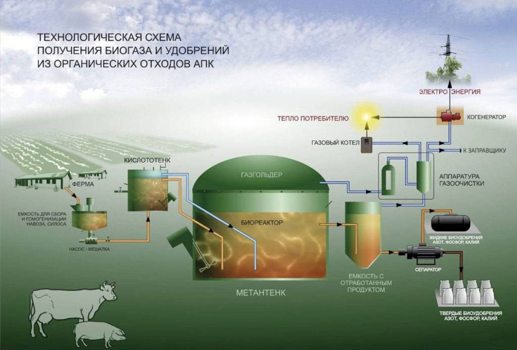 Сколько биогаза дает 1 т навоза - турбозайм