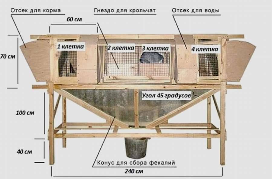 Фото чертежей клеток для кроликов