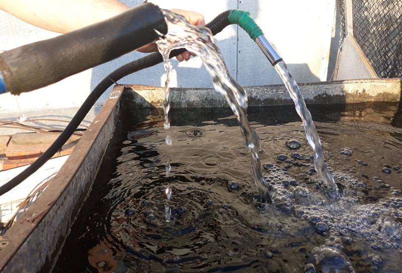 Вода из скважины пахнет сероводородом, что делать, как очистить и почему запах болота