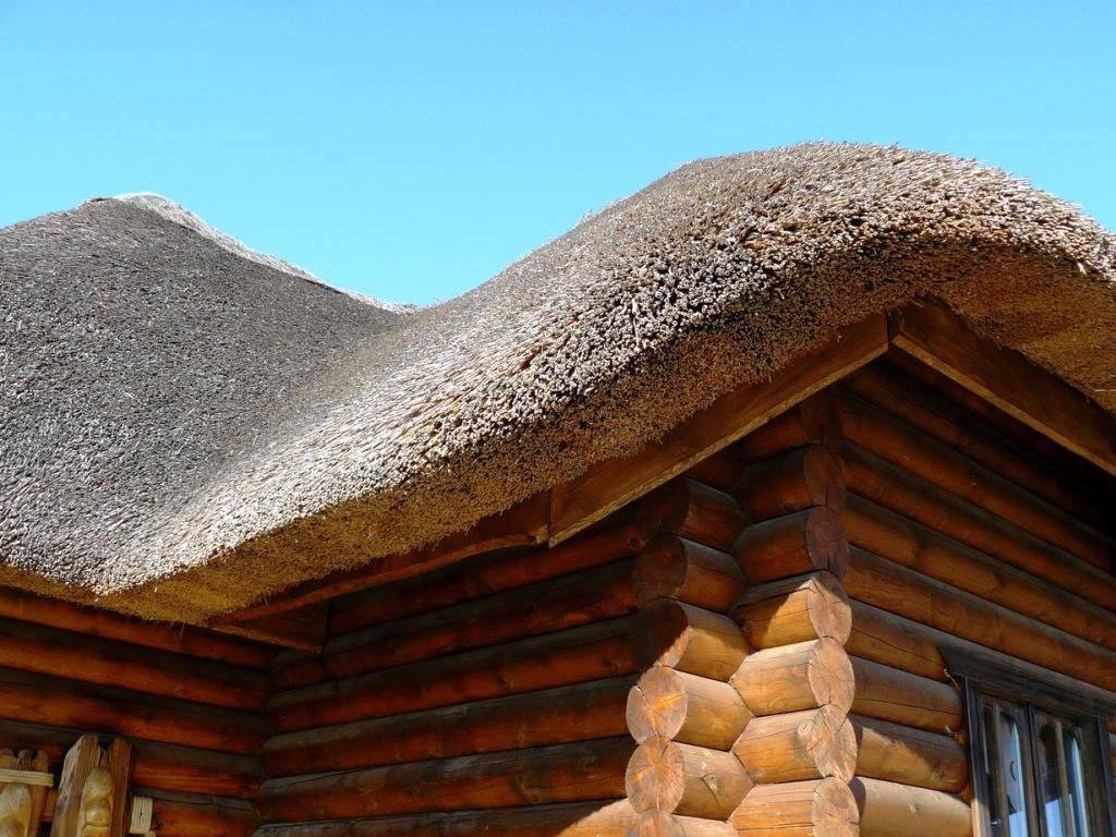 Камышовая крыша: преимущества, недостатки и технология изготовления