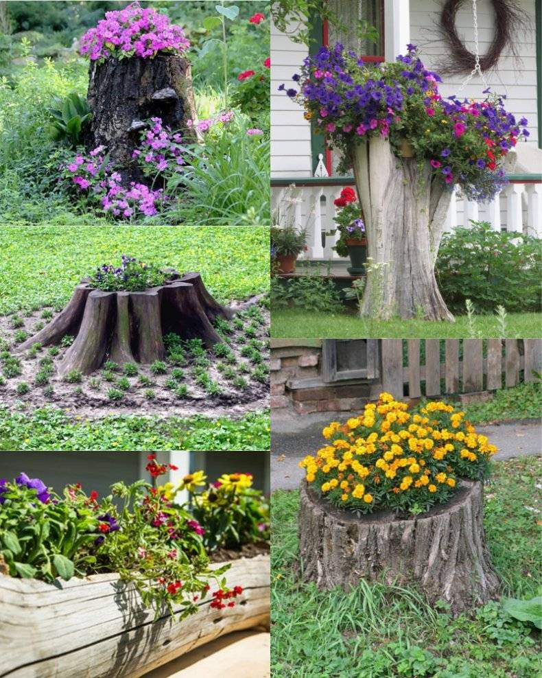 Оформляем цветники и клумбы на даче своими руками