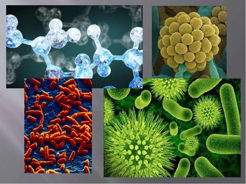 Дисбактериоз: как полезные микробы становятся врагами