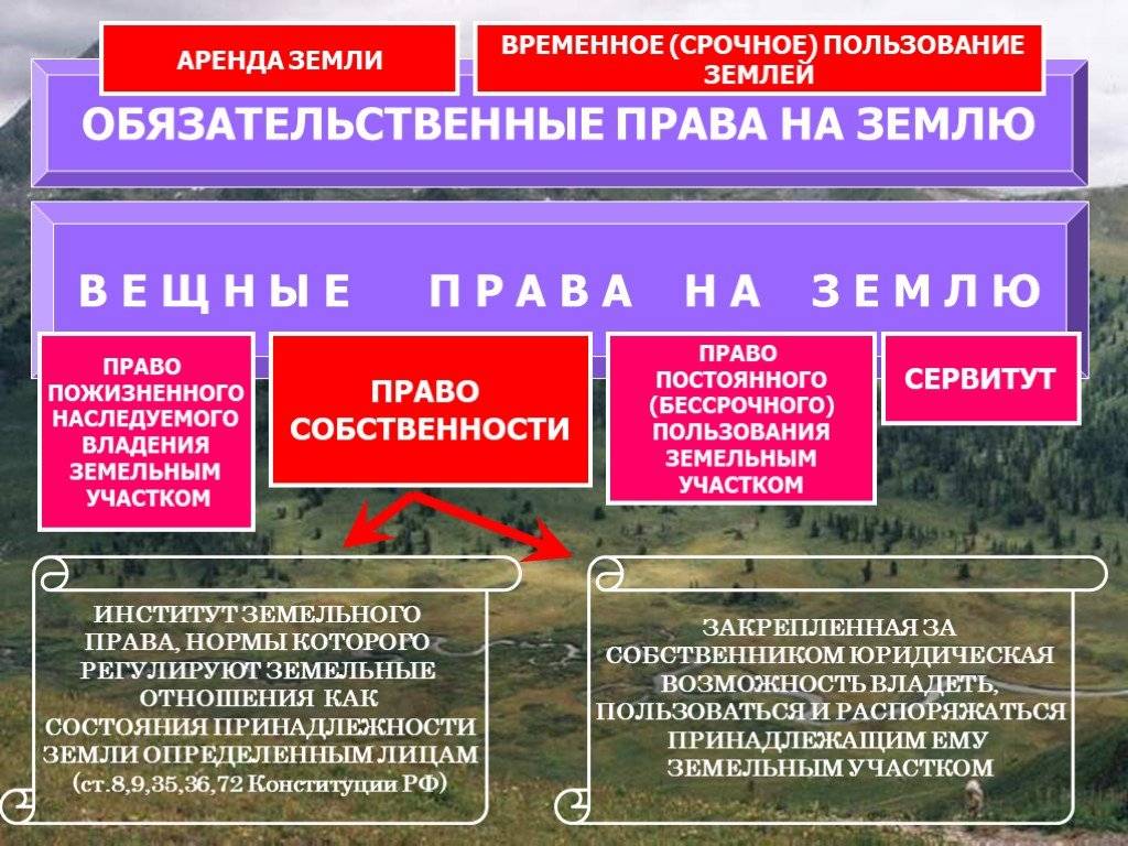 Какие бывают виды собственности на земельный участок