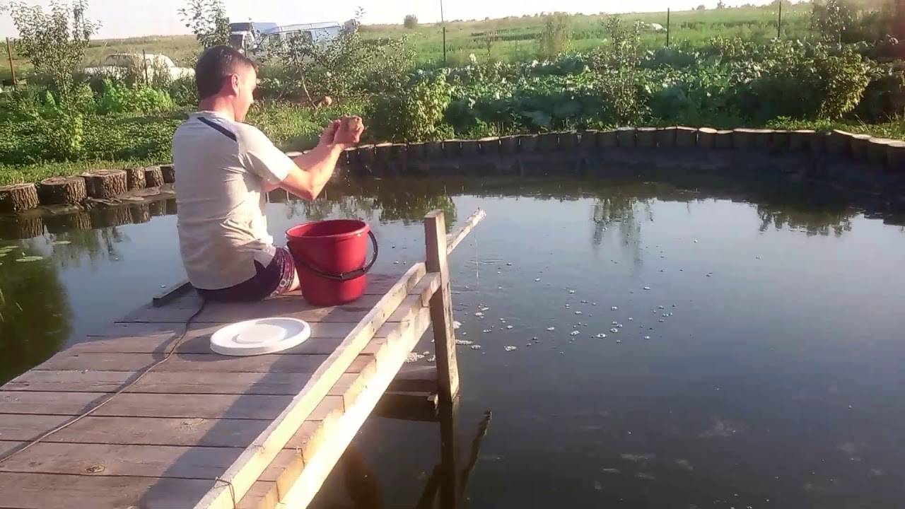 Пруд для рыбы на участке своими руками