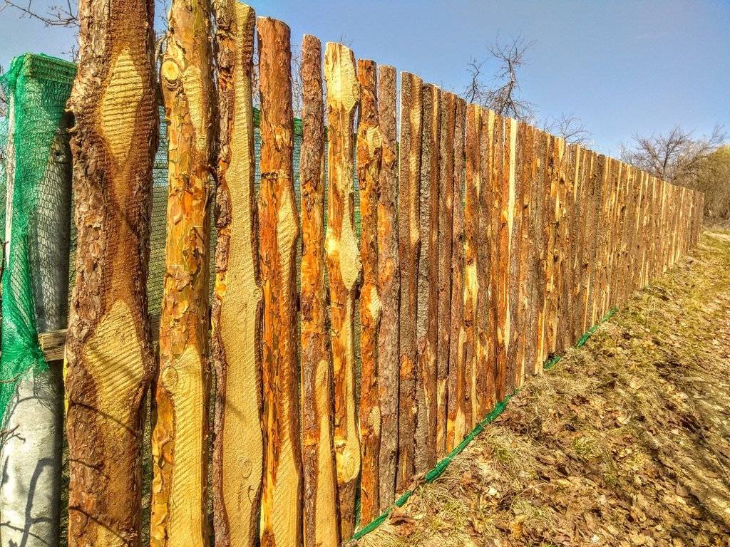 Красивый забор из обычного горбыля своими руками — sdelayzabor.ru