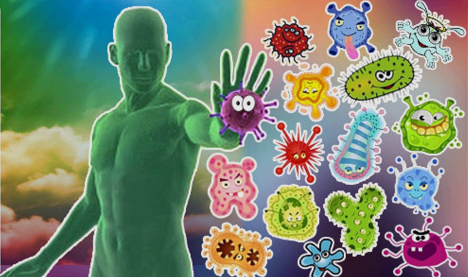 Бактерии, грибки и микробы в кондиционерах: как сберечь здоровье