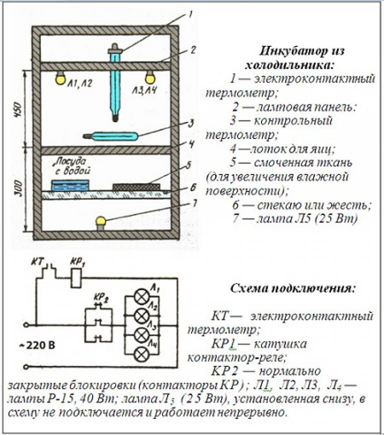 Как сделать инкубатор своими руками в домашних условиях