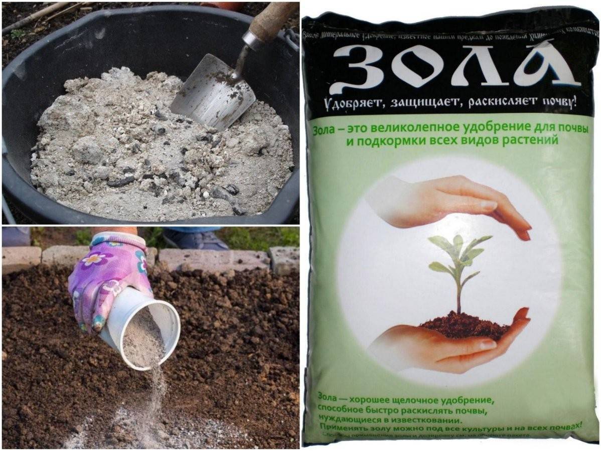 Как сделать почву в домашних условиях. Грунты и удобрения. Раскислитель почвы. Подкормка растений. Удобрение для подкисления почвы.