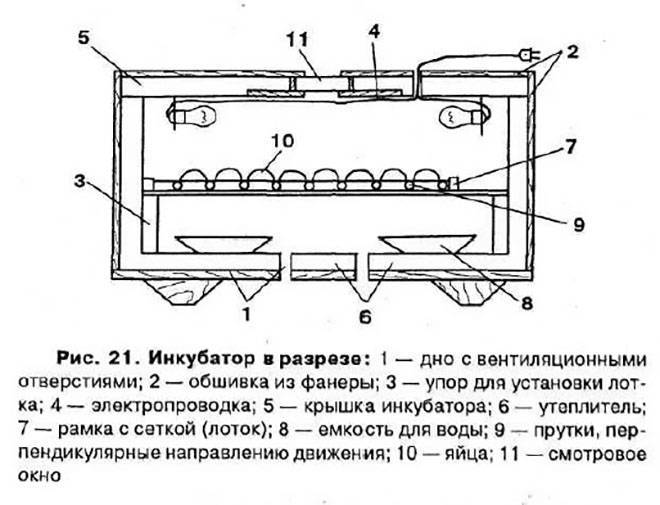 Домашний инкубатор своими руками, способы сделать лотки с автоматизированным устройством переворота яиц