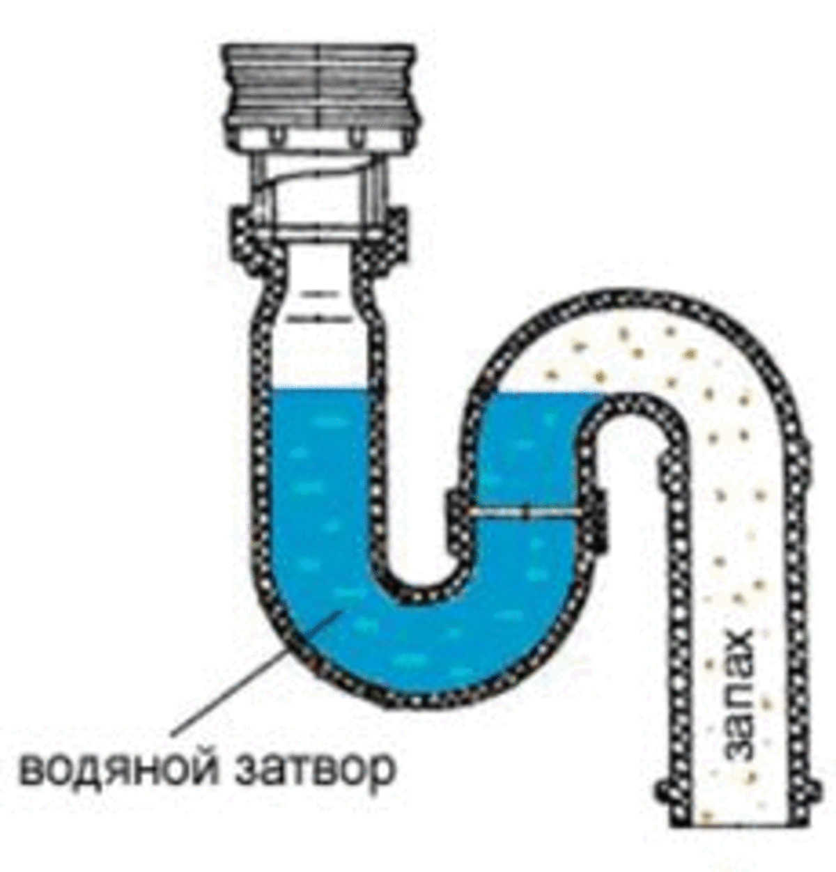 Срыв гидрозатвора и причины появления запаха из канализации