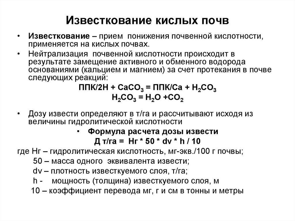 Известкование почвы: нормы и сроки внесения, смысл раскисления, инструкция