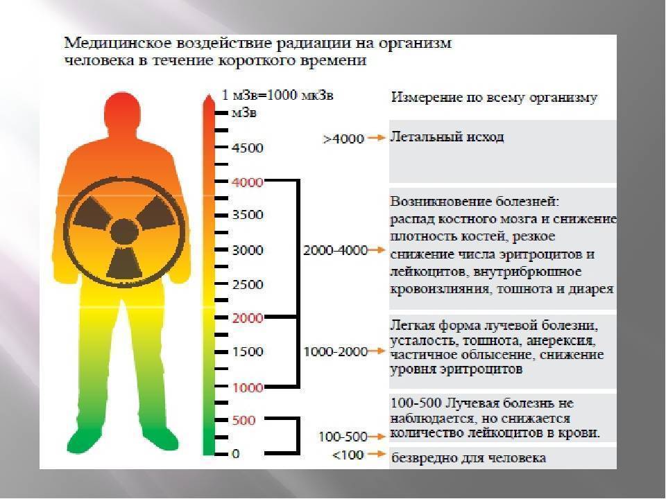 Радиация: в чём измеряется, единицы измерения радиоактивного фона и приборы