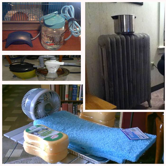 Как увлажнить воздух в квартире: 7 способов без увлажнителя