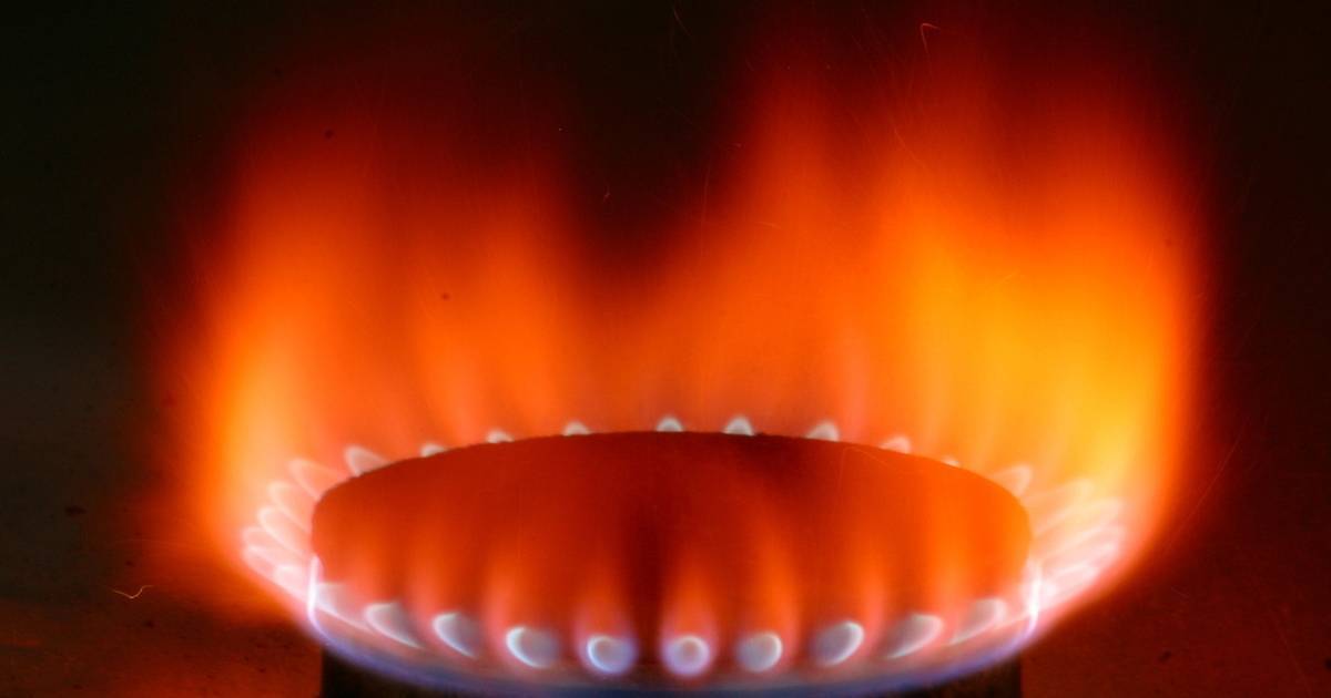 Плохо горит газовая плита - 9 основных причин