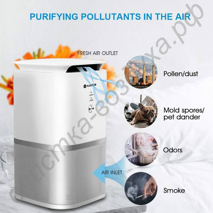 Особенности воздухоочистителей для аллергиков, обзор моделей