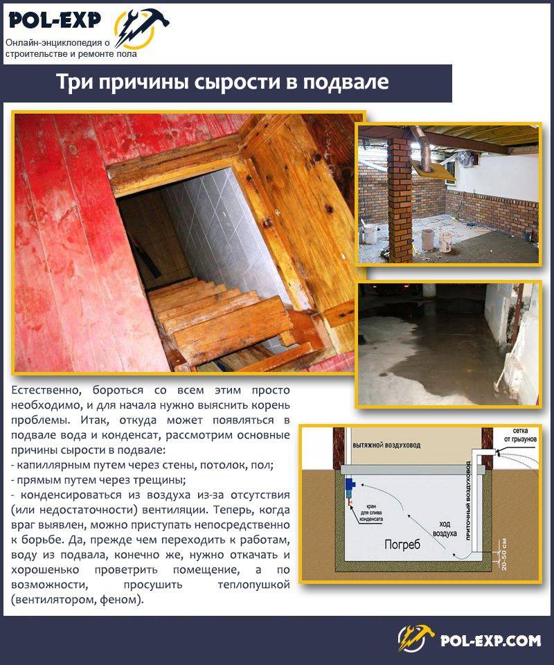 Как просушить погреб