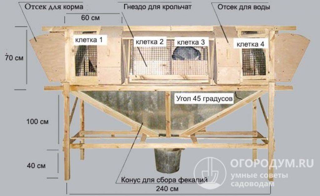 Кроличьи клетки своими руками, как сделать, чертежи и размеры