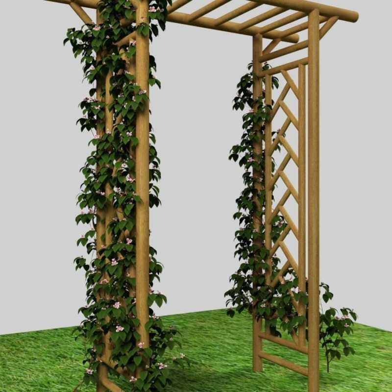 Как сделать перголу из дерева своими руками – арка для винограда и вьющихся растений