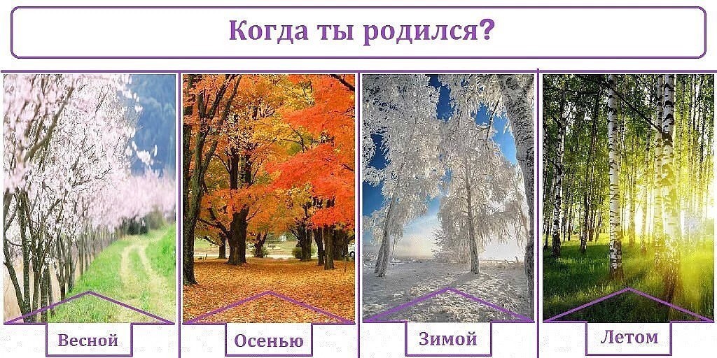 Какое время года хороша цветами. Зимой весной летом или осенью. Времена года отличия.