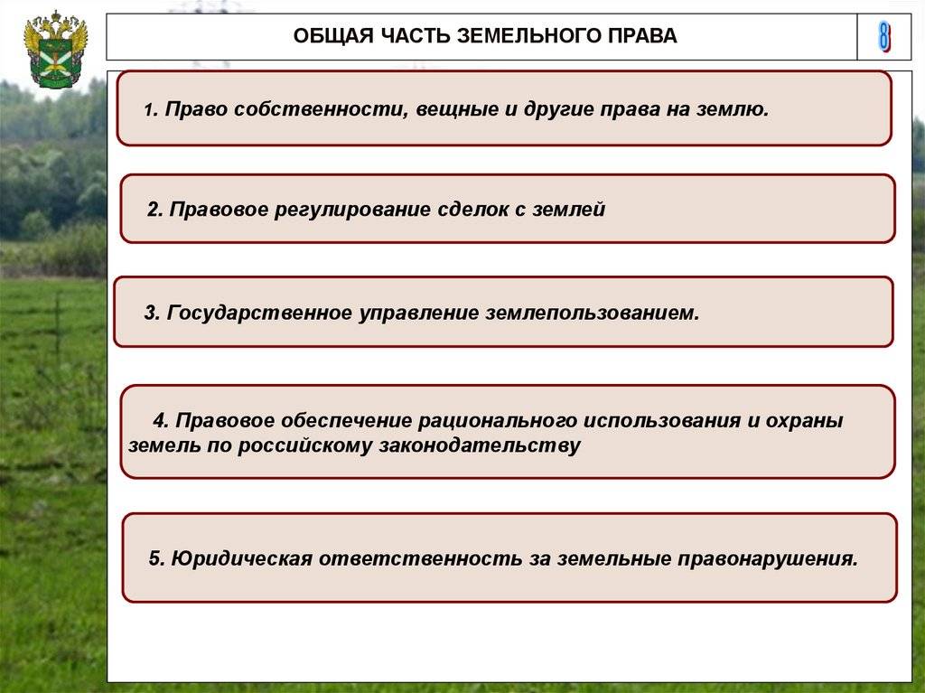 Покупка земли сельхозназначения: необходимый перечень документов для оформления :: businessman.ru