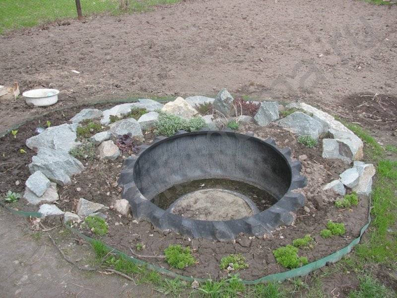 Создаем красивый пруд на даче: 50 лучших идей дизайна