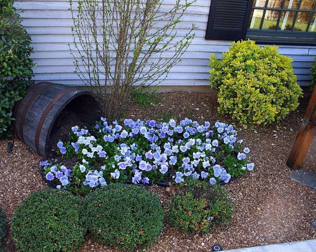 Садовый цветник: 6 секретов оформления красивой клумбы