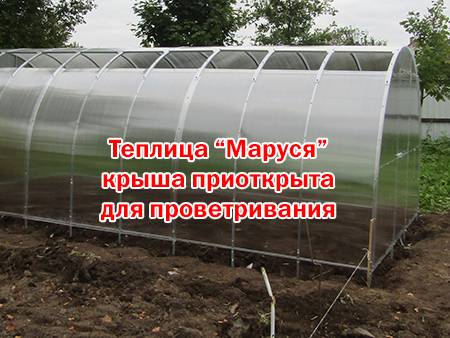 Теплицы «сибирские»